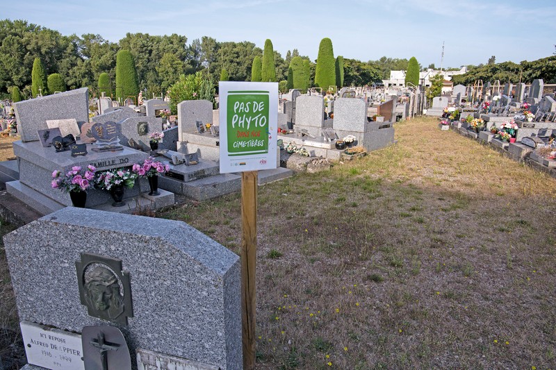 Des cimetières plus écoresponsables
