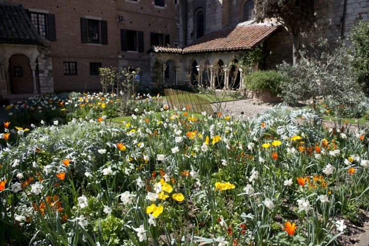 Fleurissement de printemps au cloître Saint-Salvi