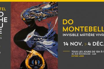 Exposition à l'Hôtel Rochegude : Do Montebello, invisible matière vivante