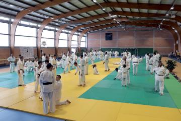 L’Albi Judo Club ressort les tatamis