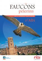 Guide - Les faucons pèlerins de la cathédrale Sainte-Cécile d'Albi 